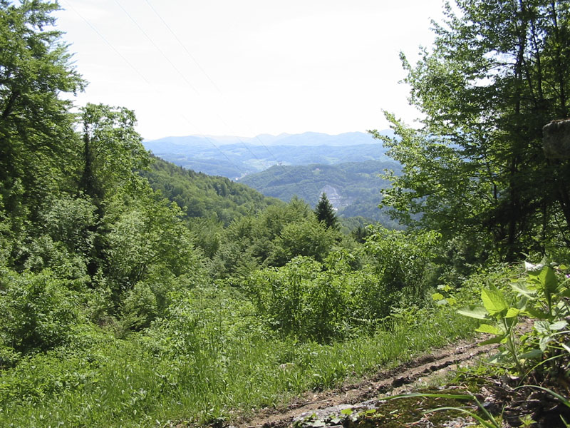 IMG_5171