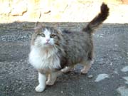 DSCF0040